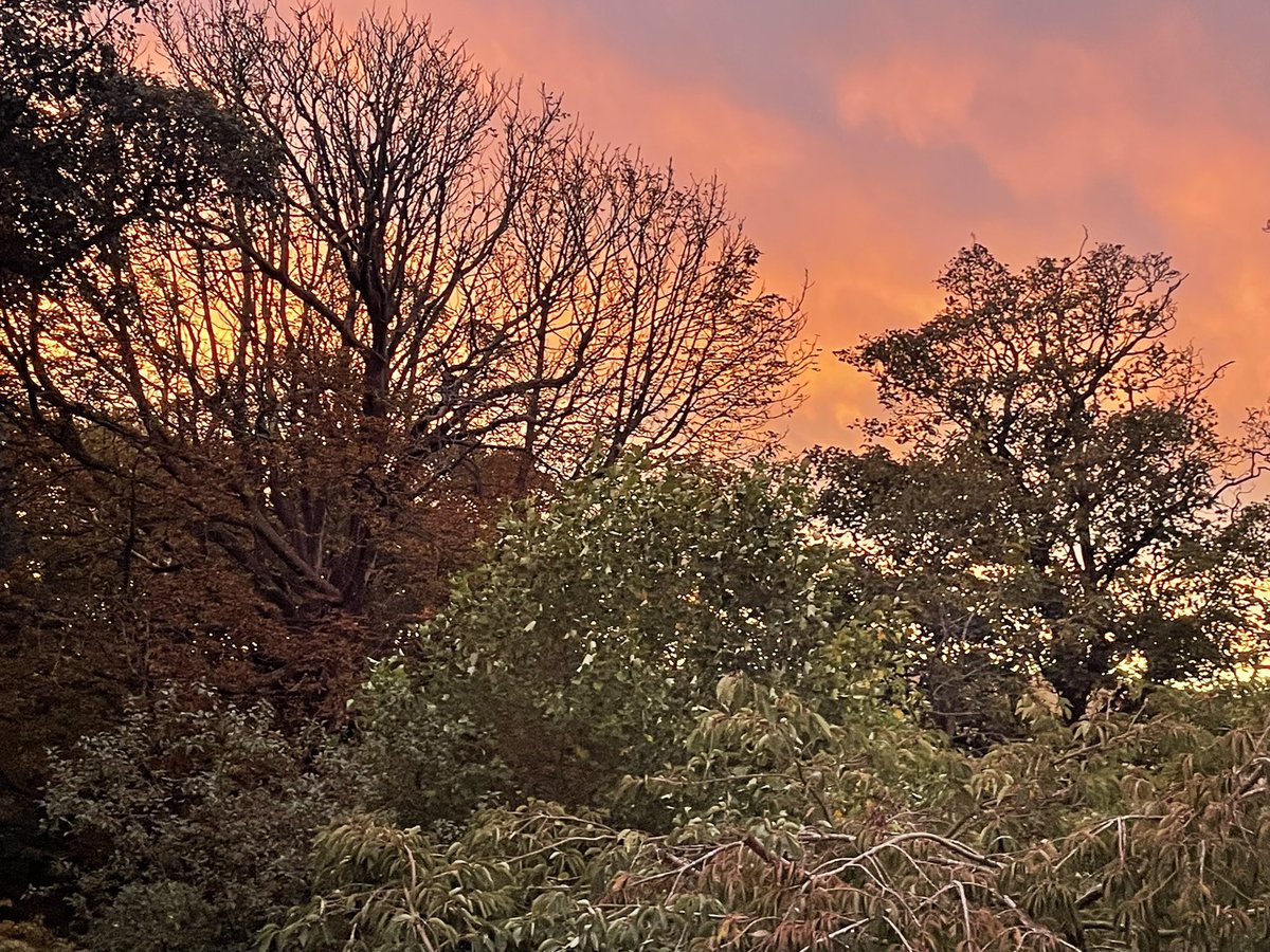 MLProduce's tweet photo. Sunset the other night, rain in the day but a beautiful end to the day #sunset #whatabeautifulworld #lovemyfarm #isleofman https://t.co/ynFjIYhGCt