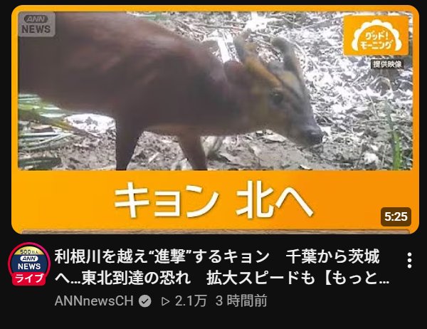 120w_man's tweet photo. キョン！独裁をするわよ！ https://t.co/Hsg3zTaAWq