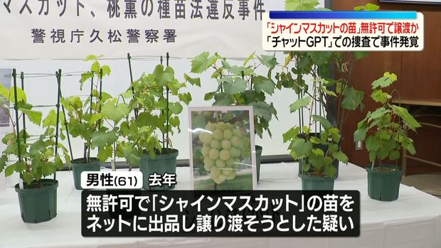 livedoornews's tweet photo. 【書類送検】シャインマスカットの苗を無許可出品、「ChatGPT」での捜査で事件発覚
https://t.co/obpYxFemX1

シャインマスカットの苗を無許可で譲渡したなどとして2人が書類送検された。捜査員がサイバーパトロールを実施した際、ChatGPTを使ってネット上の違法投稿を抽出させたことで発覚した。 https://t.co/Gnvrw9KbfK