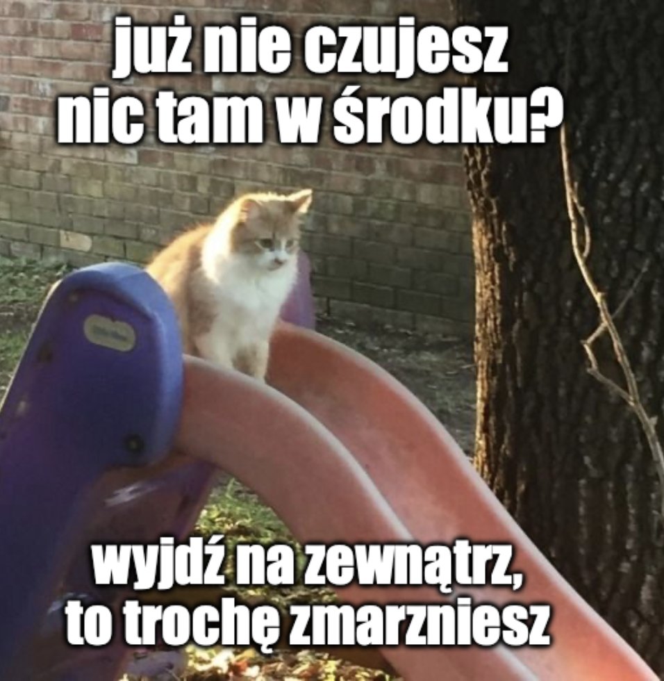 donald_PL_'s tweet photo. mood https://t.co/wYsNyEC7M8