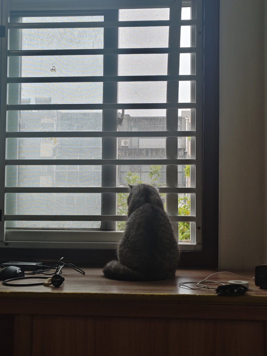 qingli41887's tweet photo. @egg6V6 https://t.co/xDN6fBvDCU