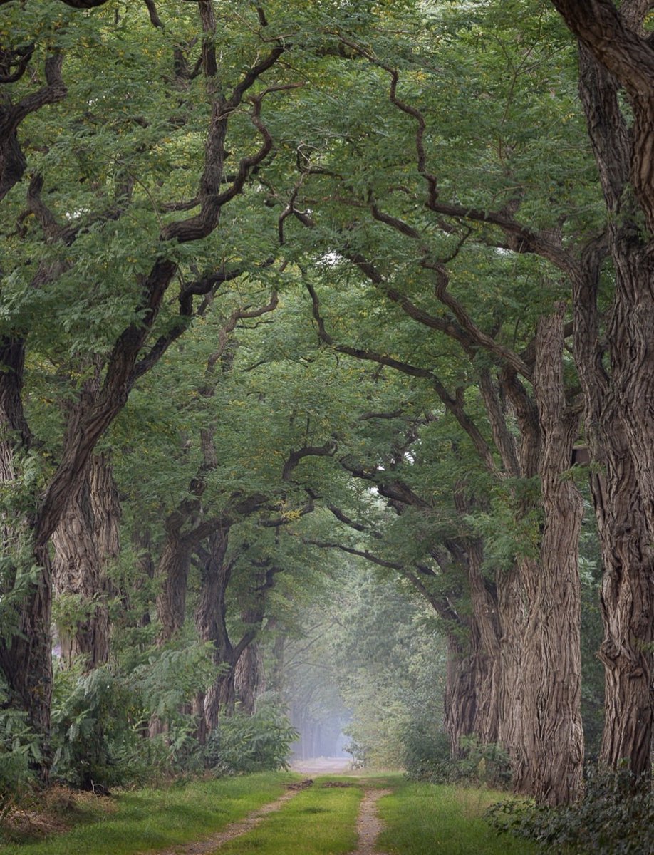 naturehealyou's tweet photo. Nature’ s art https://t.co/TIGjCaAN8w