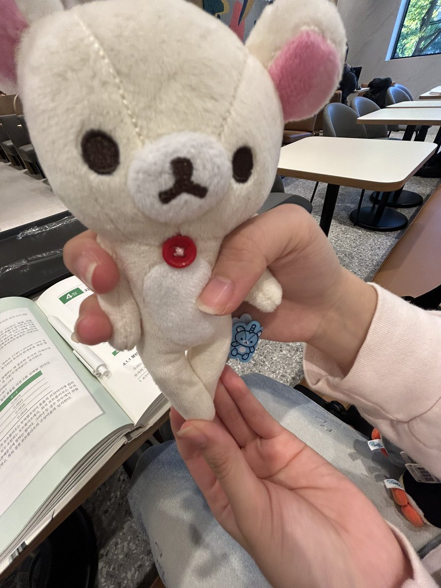 564_000's tweet photo. 카공왔는데 친구가 갑자기 인형 컬렉션 자랑을 시작함 https://t.co/oZgmq6Xrhb
