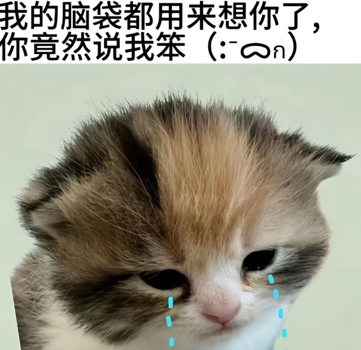baekiiuouo's tweet photo. https://t.co/HEwPULp2tM