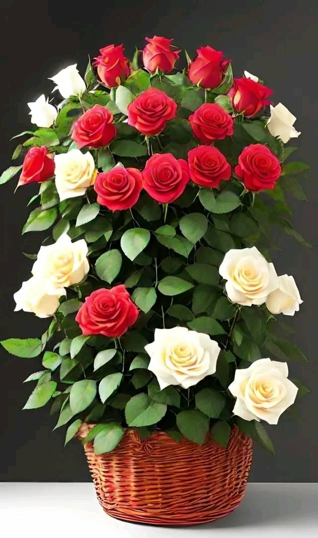 aa___ml6's tweet photo. .....

صباح الخير ثم أن أكبر نقطه ضعف قد تكون في شخص هي الاشتياق بكل صوره وانواعه ، محظوظين اللي مايشتاقون .

. https://t.co/Stk6KZxvwe