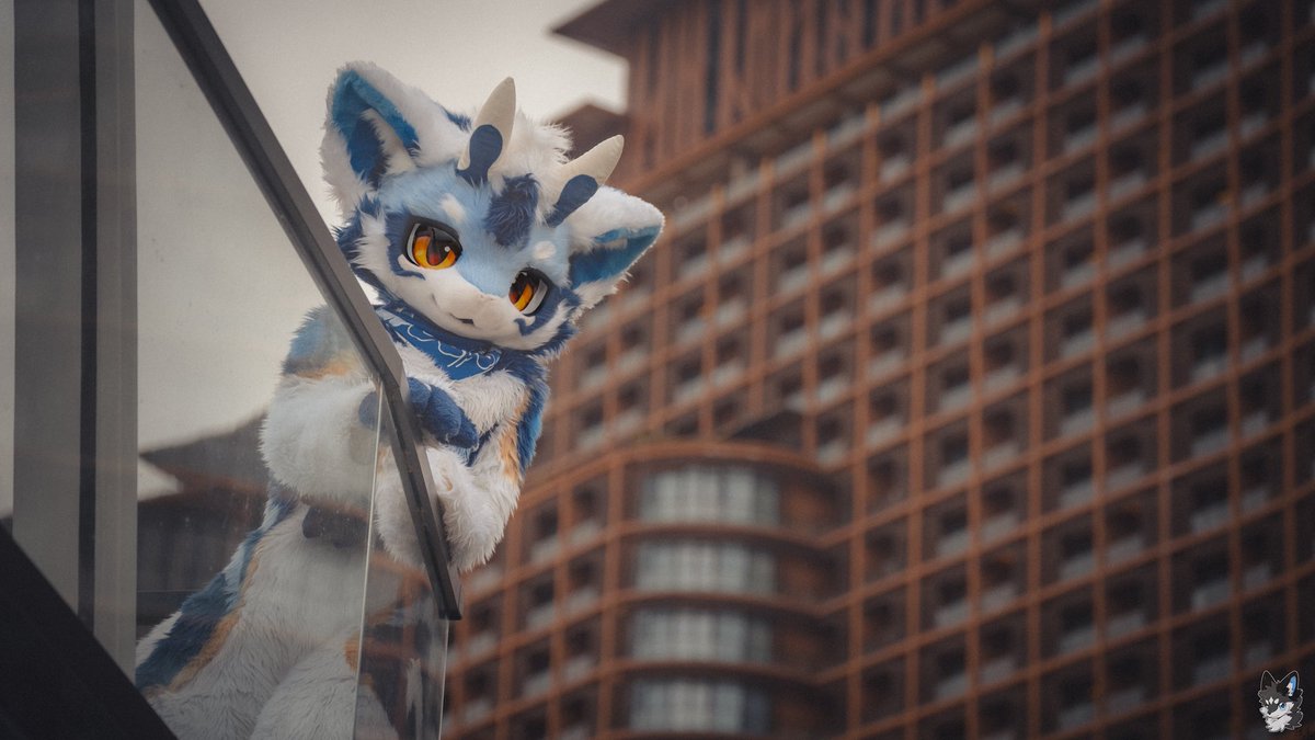 Glaze_Cyan's tweet photo. 如罗如幔，
如梦如幻，
虚妄堆起了虚妄山，
那珍珠装满了森罗地，
众生抛下了金菩提。
摄影@ElamNov https://t.co/H6Q1JZN71c