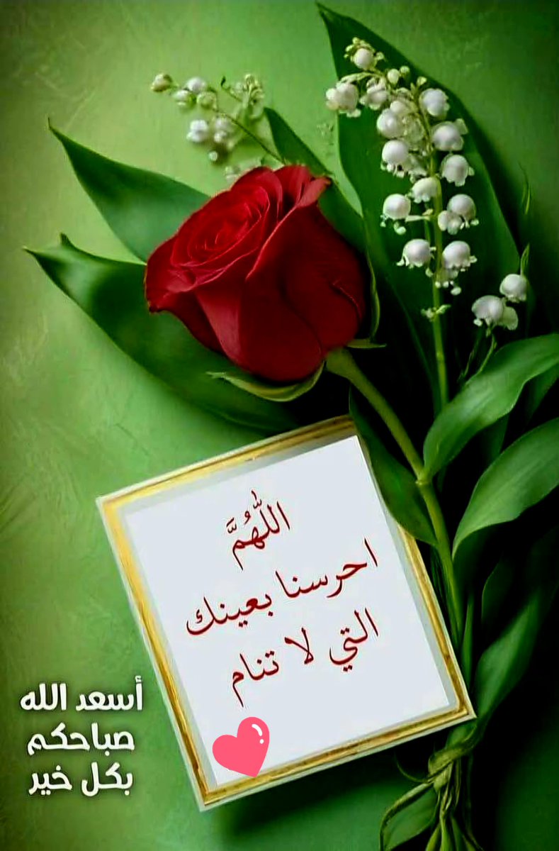 husrushhus tweet picture