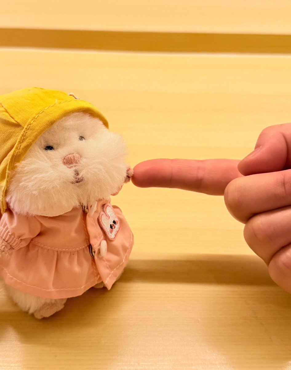 girihapi88's tweet photo. 朝からうちの子たちは
はむにぎり幼稚園へ🐹🚌🌷

「ごしゅじんいってくるね
かえったらおやつちょうだいね🍪🕒」と約束させられバスに乗りこんでいきました🍀

#はむにぎり 
#はむにぎりのいる暮らし https://t.co/S9thjvc95H
