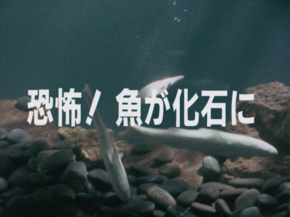 SentaiFive's tweet photo. Tonight on #GoggleV: "Terror! Fish Turning into Fossils" Like the episode title says, the team has to stop the  newest Mozoo from turning fish into fossils, while helping a salmon raising father as Deathdark is after him. https://t.co/7tFGJLhK7C