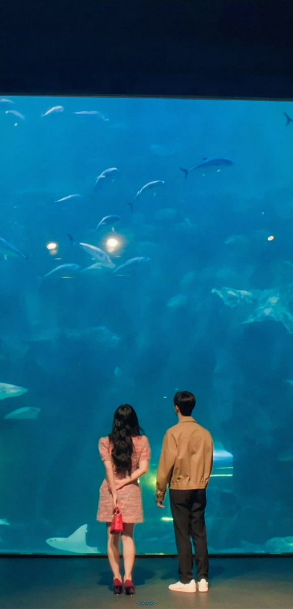 ongandrea_'s tweet photo. under the cherry blossoms, lost in lavender fields, chasing sunsets, and finding wonder beneath the sea 🤍

my favorite kind of forever will always be baekhong, it is what it is 🙂‍↕️✨ #qotsofthours https://t.co/Ph5Pl7M1mE