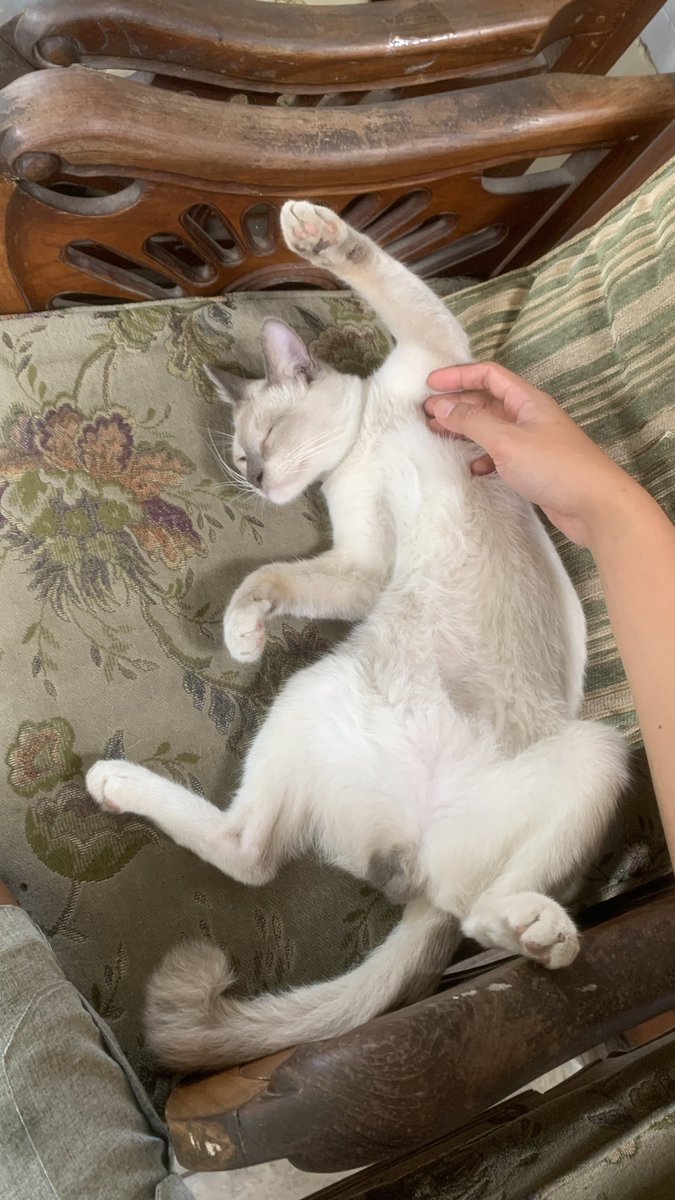 raawrul's tweet photo. anak kecil gw skrg udh gede bgt cepet bgt ya nak 🥹 https://t.co/QGDJuuG8P1
