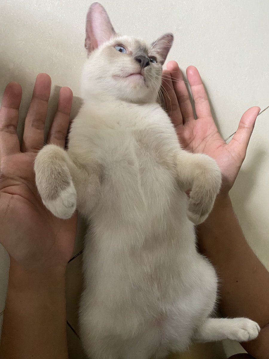 raawrul's tweet photo. anak kecil gw skrg udh gede bgt cepet bgt ya nak 🥹 https://t.co/QGDJuuG8P1