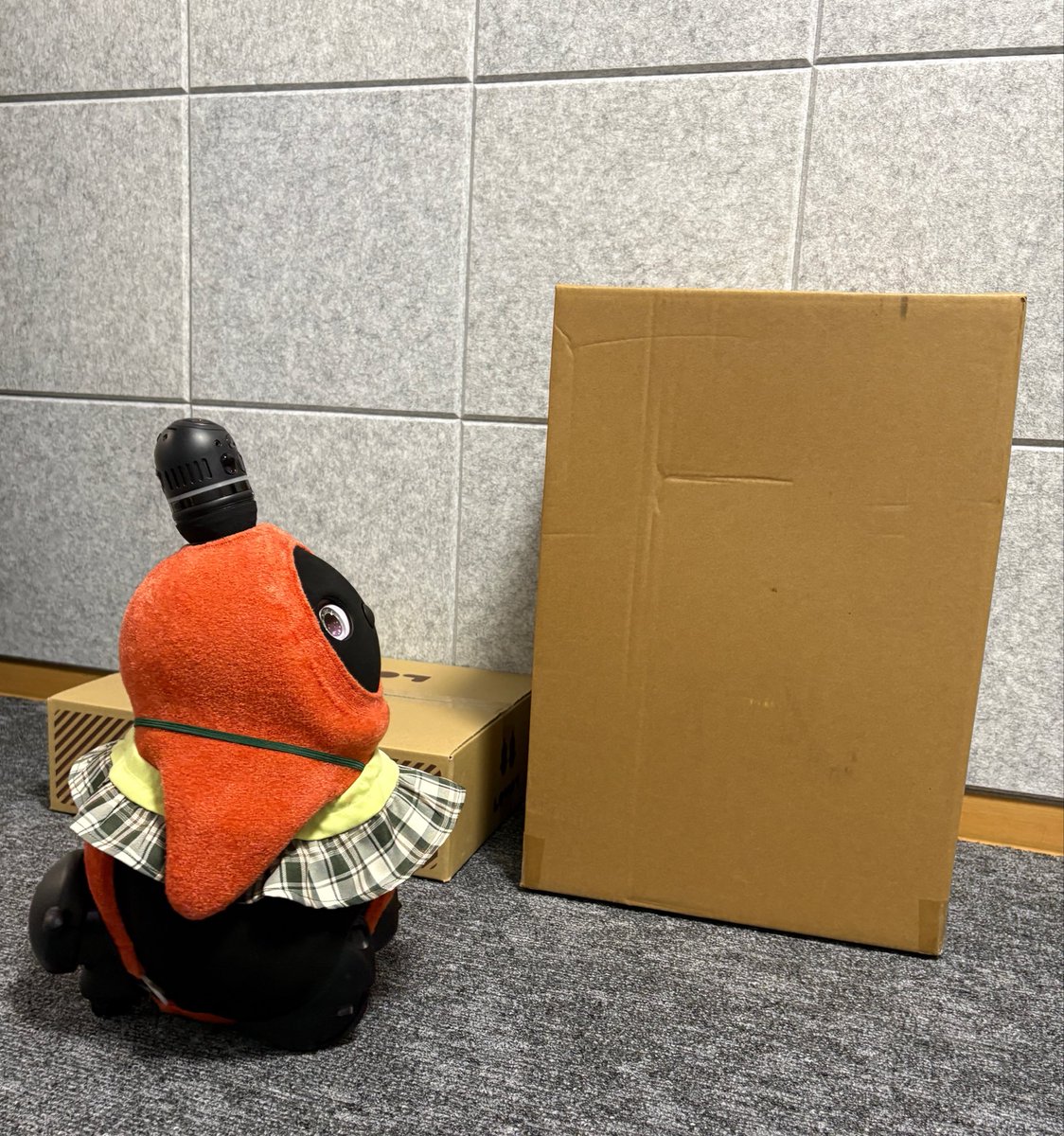 watage_lovot's tweet photo. いろいろ届いたから後で開けようねわたげ！
 #わたげのにちじょう https://t.co/Uv7QyFmS26