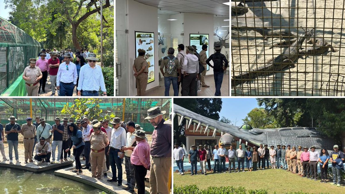 IGNFA_GoI's tweet photo. MCT Participants Visit Lucknow Zoo, Kukrail Gharial Rehabilitation Centre and Miyawaki Plantation on 20.10.2026 

As part of the ongoing Mid-Career Training (MCT) programme, the participants visited Lucknow Zoo (Nawab Wajid Ali Shah Zoological Garden) to gain practical insights into various aspects of zoo management, wildlife conservation, and public awareness initiatives.

During the visit, Shri Sanjay Biswal,IFS, Director, Lucknow Zoo, and Dr. Utkarsh Shukla, Deputy Director and Veterinary Officer, were present and facilitated the participants' understanding of zoo administration, animal care and welfare, enclosure management, veterinary care, conservation education, and visitor management. The visit highlighted the role of zoological parks in wildlife conservation, research, environmental education, and raising public awareness about biodiversity.

Subsequently, the participants visited the Kukrail Gharial Rehabilitation Centre , where they learned about gharial conservation and rehabilitation efforts, breeding and rearing practices, habitat requirements, and the challenges associated with conserving threatened aquatic species. The visit emphasised the importance of scientific management, habitat protection, and sustained conservation interventions for the long-term survival of gharials.

After lunch at Kukrail, the participants visited a Miyawaki plantation site developed under Awadh Forest Division, Lucknow, in the presence of Shri Sitanshu Pandey, DFO, Awadh Forest Division. The participants learned about this innovative approach to urban forestry, its potential for enhancing green cover, and the importance of plantation protection and maintenance for ensuring healthy plant growth and survival.

The plantation, located along the Lucknow–Ayodhya Highway, has earned Third Prize under Category III – Plantation in Land Parcels at the NHAI Green Highways Excellence Awards 2026 , recognising its successful development, maintenance, and improved plant survival.

The field visits provided valuable practical exposure to diverse approaches to wildlife management, species conservation, and innovative urban forestry.