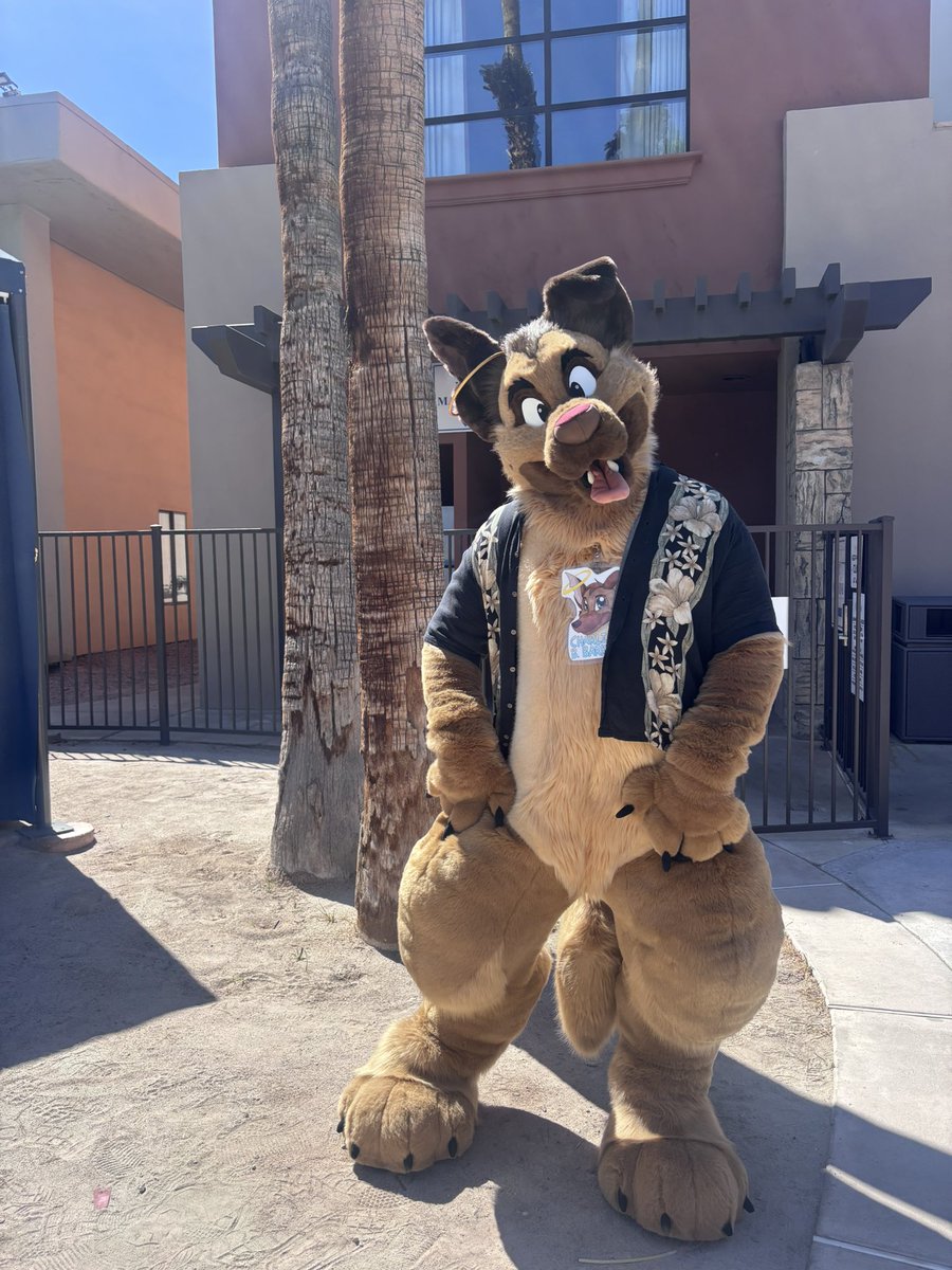 charliebebarkin's tweet photo. Would anyone be interested in purchasing Charlie? 

Due to some unexpected medical expenses, I’m looking at finding this good boy a new home. DMs open! https://t.co/HEaIgVptME
