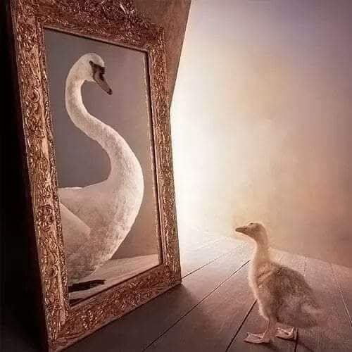 AngeloC18757357 tweet picture