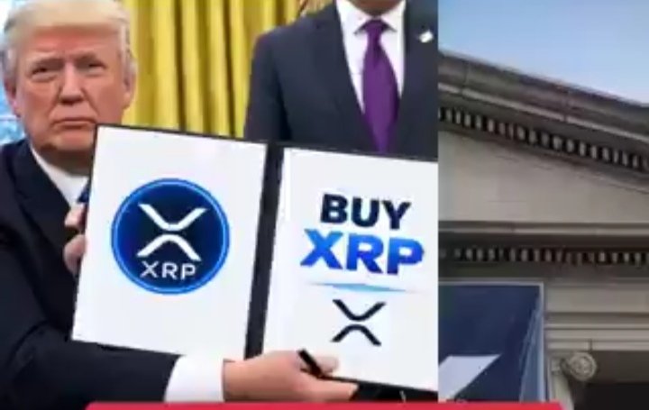moganlongnr's tweet photo. @saylor More of xrp is better to hold in your strong wallet https://t.co/TAnbQIdAEq