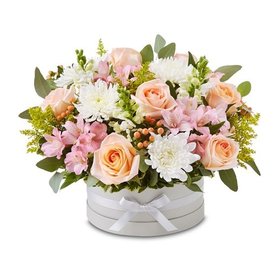 ConroyssFlowers's tweet photo. Last call ⏰ Order tonight for delivery tomorrow, Thursday. Perfectly Pastel Bouquet, $74.99: blush, garden-inspired blooms in a dove gray European hatbox with matching ribbon, a soft and lovely surprise. https://t.co/cVDCKyVkSu #LastCall #TorranceFlorist https://t.co/n3jFTcJZ0l