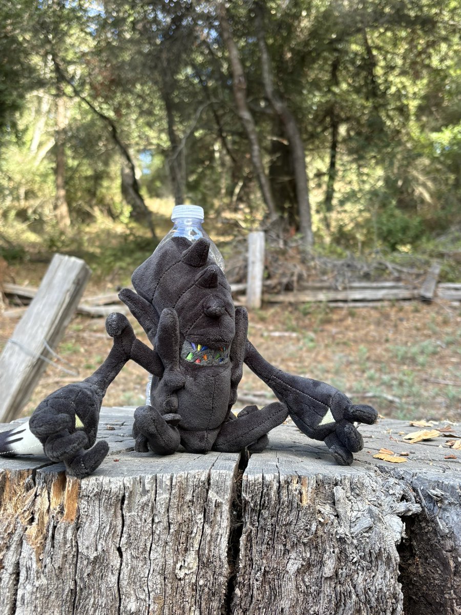 NecroMoonPuppet's tweet photo. Taking the eater of light on a forest hike https://t.co/ACTg47apQE