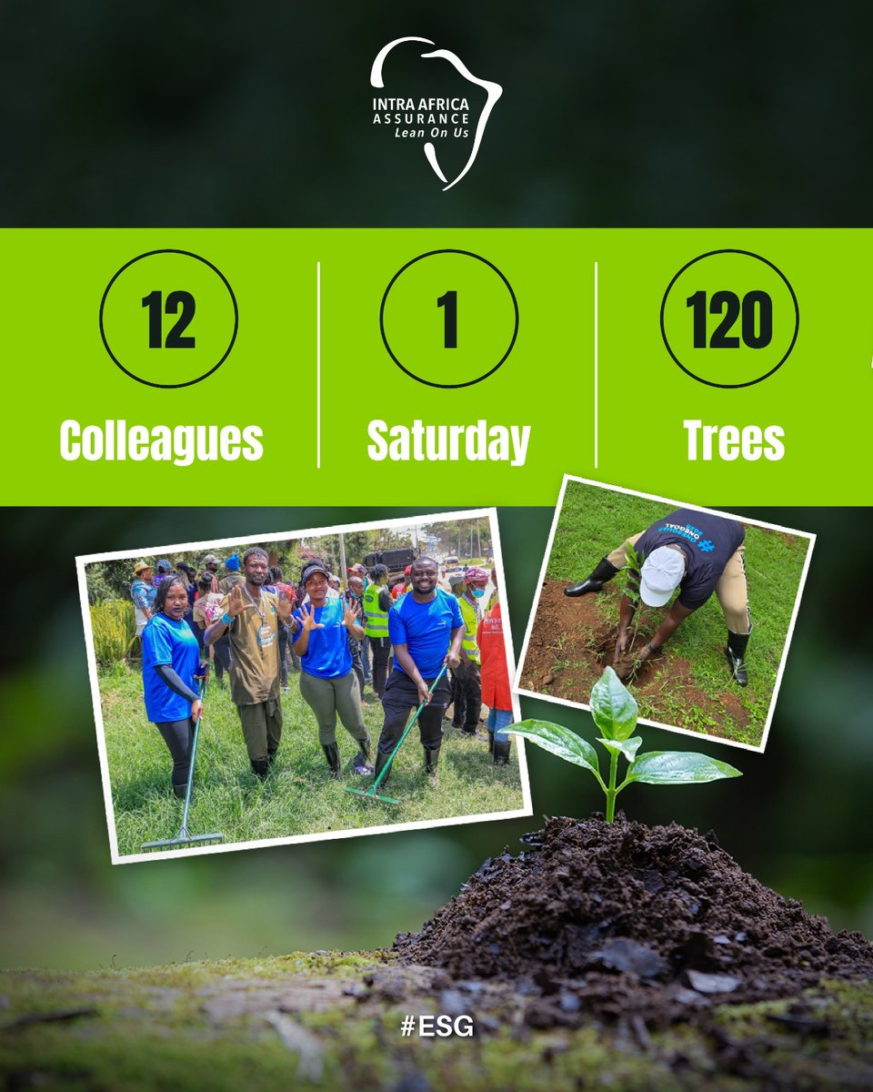 intraafrica's tweet photo. Nobody asked them to go to Sagana; they went because they believed a sustainable company should get its hands in the soil.Twelve IAA colleagues planted 120 trees in Sagana, rating the experience 4.83/5! 🌳 100% had a positive take. #Intra #Sagana #LeanOnUs https://t.co/h6WHBn68xV
