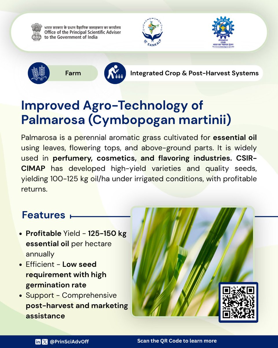 PrinSciAdvOff's tweet photo. The farm technologies under the categories of Integrated Crop & Post-Harvest Systems and Animal Husbandry & Allied Sectors feature solutions from the Council of Scientific & Industrial Research (CSIR) and the Department of Biotechnology (DBT). From improving crop productivity and enabling value addition to advancing scientific approaches in livestock development, these technologies offer practical solutions to support efficient and sustainable rural livelihoods.

🔷 Improved Agro-Technology of Palmarosa: High-yielding varieties for essential oil production, supported by post-harvest practices and marketing assistance to enhance farm returns: https://t.co/spaAyjEiKq
🔷 Improved Agro-Technology of Lemongrass: High-yielding varieties that improve productivity and create opportunities for value addition: https://t.co/OJanvZk5RQ
🔷 Improved Agro-Technology for Mint Cultivation:  Menthol mint varieties for essential oil production, supported by improved distillation, marketing and value addition to enhance farm profitability: https://t.co/YRXx9dkaoA
🔷 IndiGau – India’s First Cattle Genomic Chip: A high-density genomic chip featuring 788K markers for indigenous cattle, enabling accurate genotyping and providing high-resolution genetic information to support breeding programmes: https://t.co/uD5aTRnL6X

Read more about सह SANKALP on: https://t.co/v3NGDRgGdb

@CSIR_IND | @DBTIndia | @IndiaDST | @icarindia | @moesgoi | @GoI_MeitY | @LabourMinistry | @minmsme

#SahSankalp #FarmTechnologies