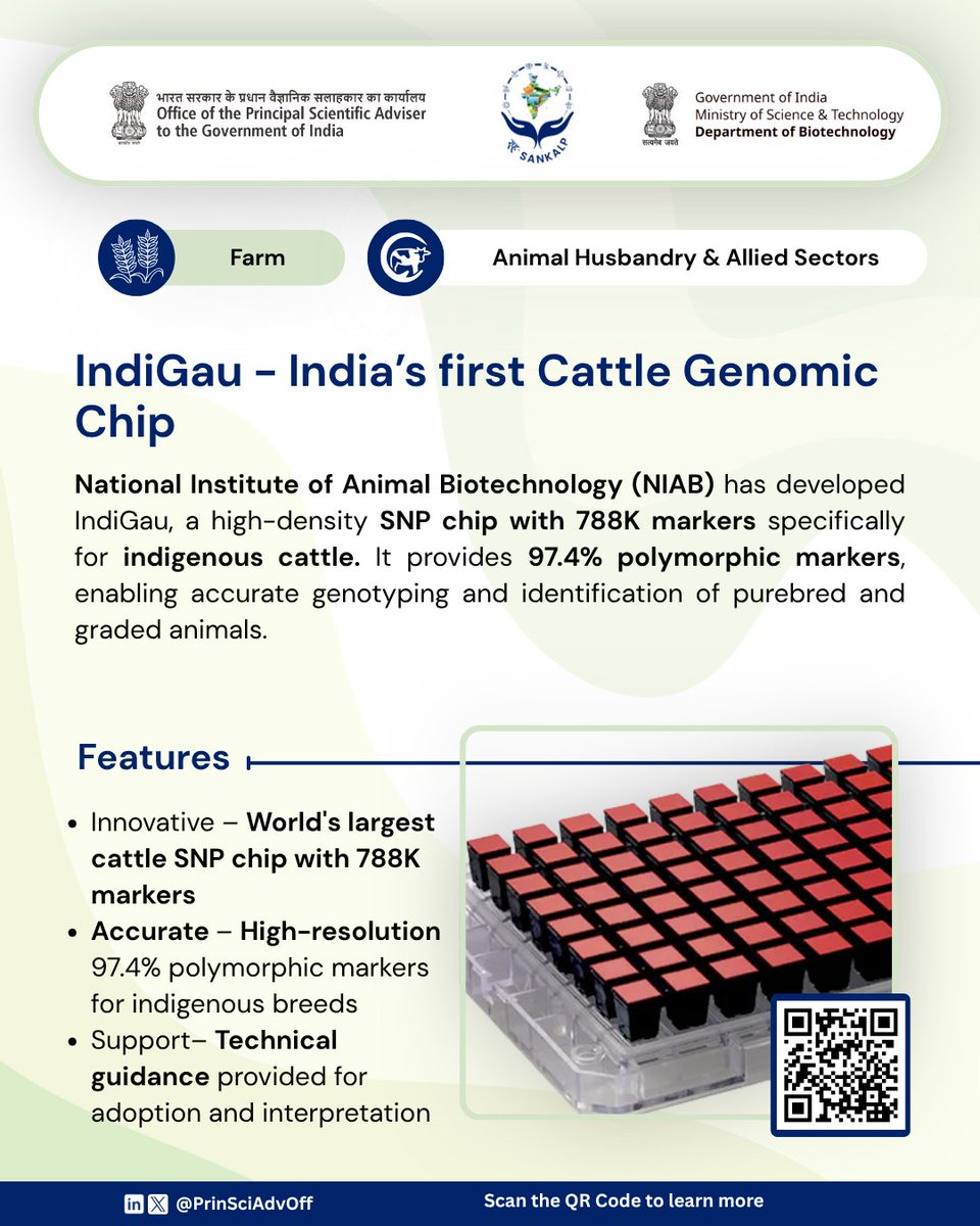 PrinSciAdvOff's tweet photo. The farm technologies under the categories of Integrated Crop & Post-Harvest Systems and Animal Husbandry & Allied Sectors feature solutions from the Council of Scientific & Industrial Research (CSIR) and the Department of Biotechnology (DBT). From improving crop productivity and enabling value addition to advancing scientific approaches in livestock development, these technologies offer practical solutions to support efficient and sustainable rural livelihoods.

🔷 Improved Agro-Technology of Palmarosa: High-yielding varieties for essential oil production, supported by post-harvest practices and marketing assistance to enhance farm returns: https://t.co/spaAyjEiKq
🔷 Improved Agro-Technology of Lemongrass: High-yielding varieties that improve productivity and create opportunities for value addition: https://t.co/OJanvZk5RQ
🔷 Improved Agro-Technology for Mint Cultivation:  Menthol mint varieties for essential oil production, supported by improved distillation, marketing and value addition to enhance farm profitability: https://t.co/YRXx9dkaoA
🔷 IndiGau – India’s First Cattle Genomic Chip: A high-density genomic chip featuring 788K markers for indigenous cattle, enabling accurate genotyping and providing high-resolution genetic information to support breeding programmes: https://t.co/uD5aTRnL6X

Read more about सह SANKALP on: https://t.co/v3NGDRgGdb

@CSIR_IND | @DBTIndia | @IndiaDST | @icarindia | @moesgoi | @GoI_MeitY | @LabourMinistry | @minmsme

#SahSankalp #FarmTechnologies
