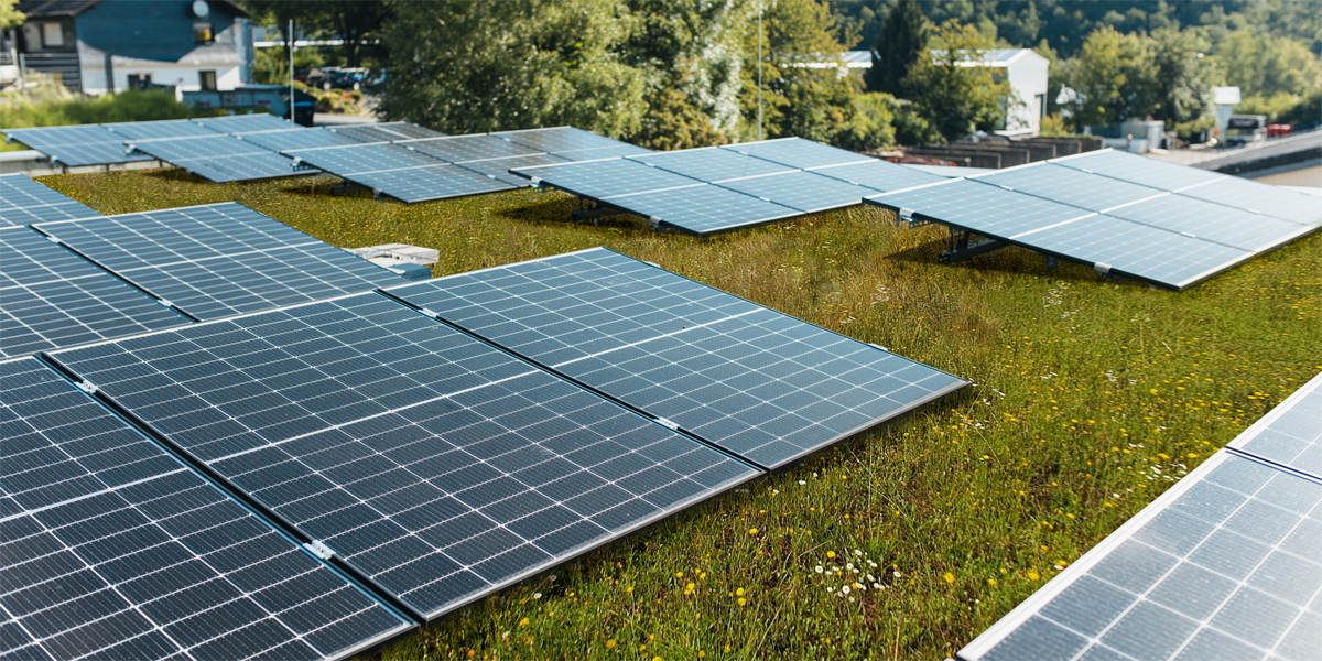 CONSTRUIBLE's tweet photo. AIFIm destaca el potencial de las cubiertas en la eficiencia energética, la biodiversidad y la gestión del agua #CubiertaAjardinada #CubiertaFotovoltaica #Cubiertas #GestiónDeAgua #Impermeabilización
https://t.co/lt7gPJpvwf https://t.co/o4YKywV2zV