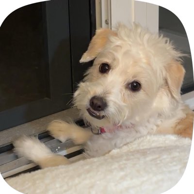 whatisthatwhati's tweet photo. #NewProfilePic https://t.co/AtP6oA9vHS