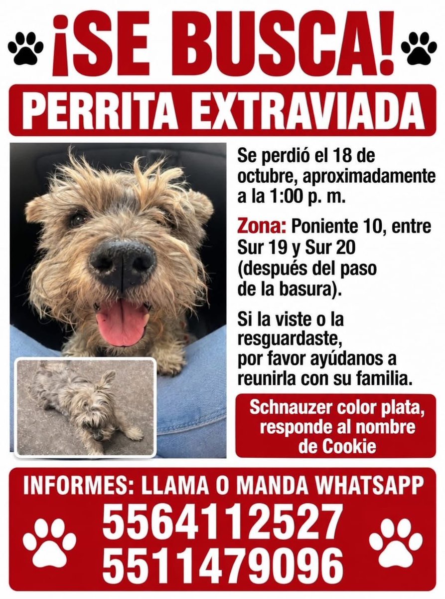 AlejandraVegaF5's tweet photo. La has visto? https://t.co/teF18fGQfh