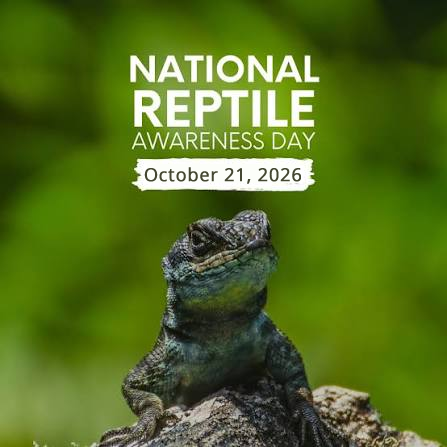Indiagovin's tweet photo. #NationalReptileAwarenessDay is observed today to promote education, conservation, &amp; appreciation for cold-blooded vertebrates like snakes, lizards, turtles, and crocodilians. The day highlights the ecological importance of over 10,000 global species &amp; addresses threats such... https://t.co/vfyrTJzyl4