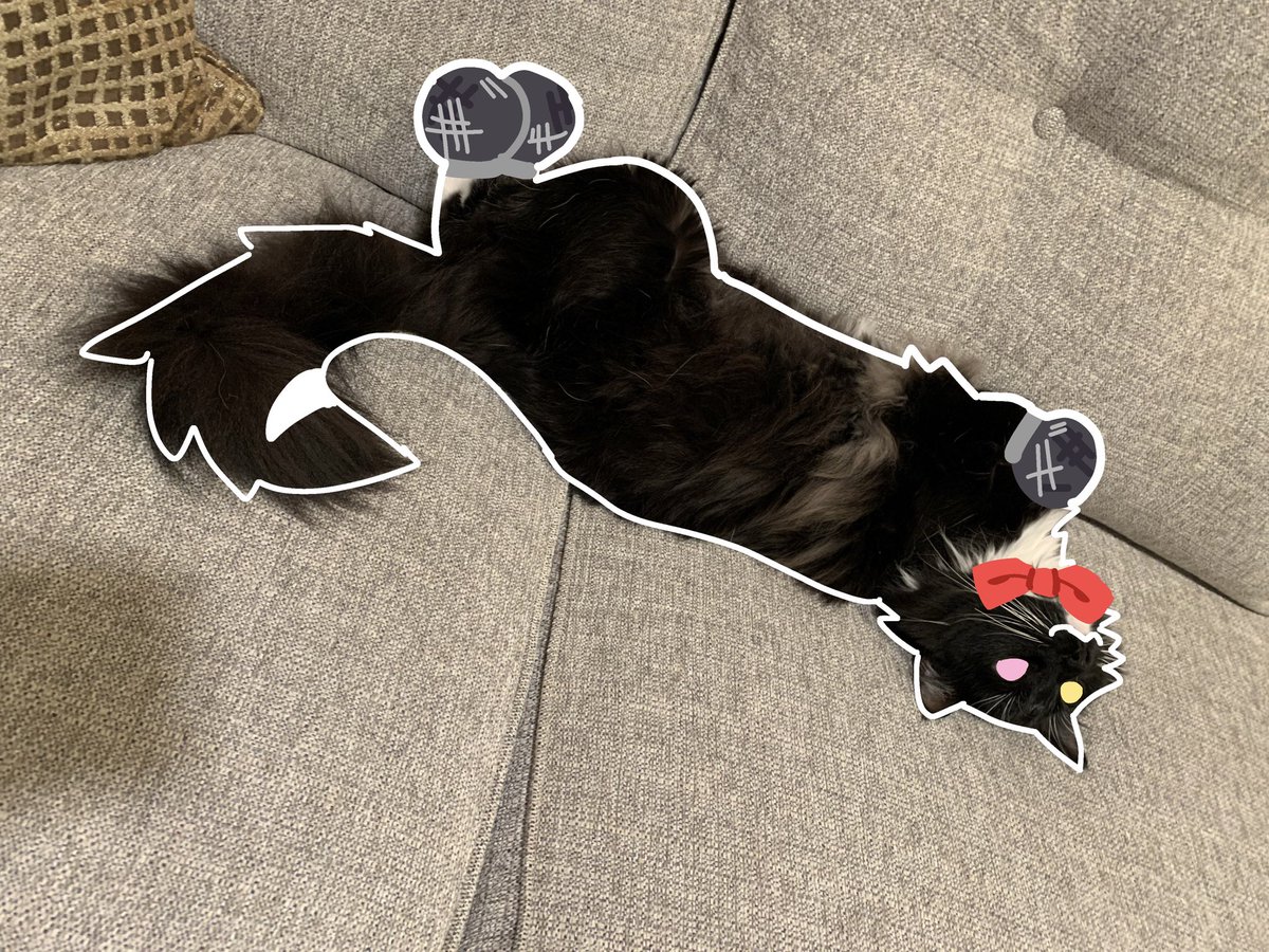 soupycat_'s tweet photo. Heheh tried drawing my cat as Pluey
Might do this to more photos of her >:3
#miketwt #pluey https://t.co/BYxrhmDgzx