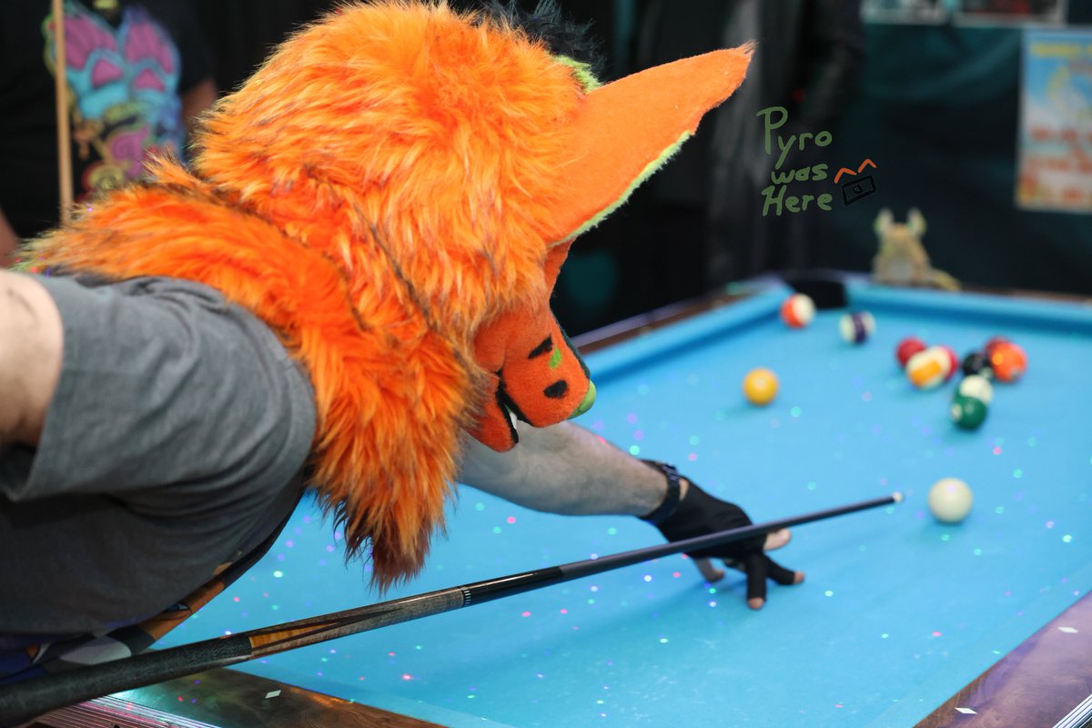 PyrotheWarFox's tweet photo. I like playing with sticks, balls and pockets 😁 #furry #pool #furryfandom #fox https://t.co/1RiEVp9tra