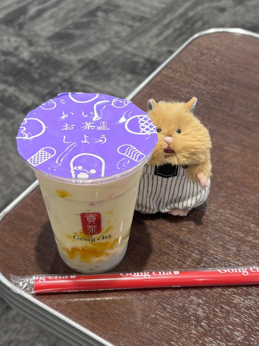 jj_arabesque's tweet photo. 公家🐹とゴンチャきたよ！！

2枚目の公家はちょっとお行儀悪い🥵

#はむにぎり
#ぬい撮り
#ゴンチャ https://t.co/EoGyEaR1kK