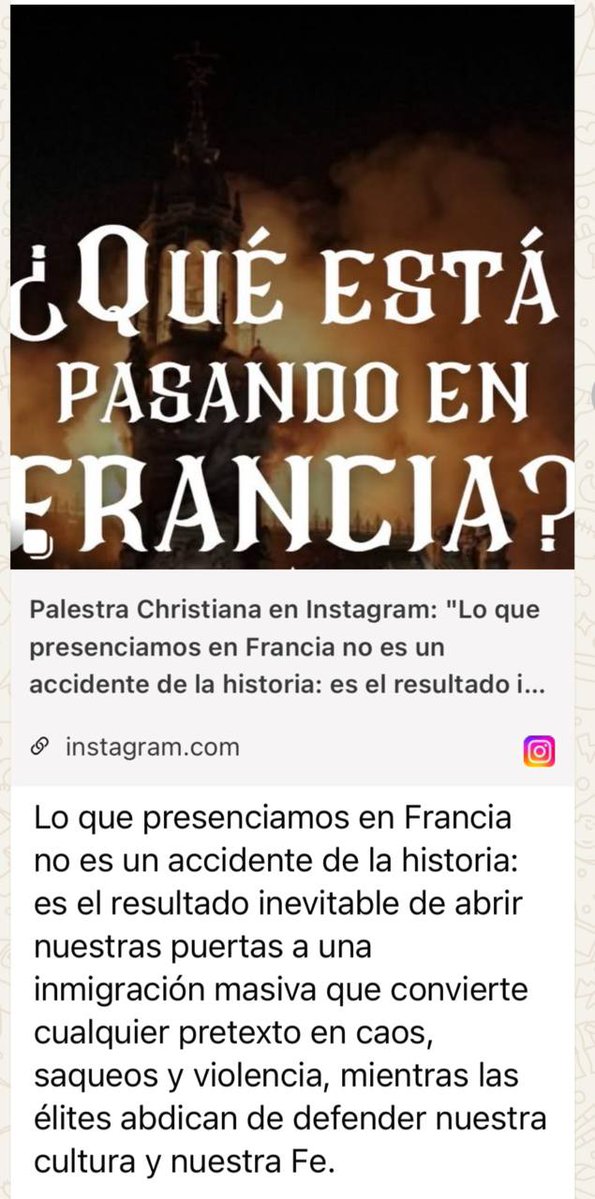 Miles_Marianus's tweet photo. Palestra Christiana atribuye caos europeo a inmigración,ficticio globalismo,apostasía,llama a organizarse en España.Instrumentalizar fe cristiana para confrontación identitaria y enfrentar europeos entre sí y vs «inmigrantes» favorece al Kremlin,q busca dividir y debilitar Europa https://t.co/7E46VWuG8X
