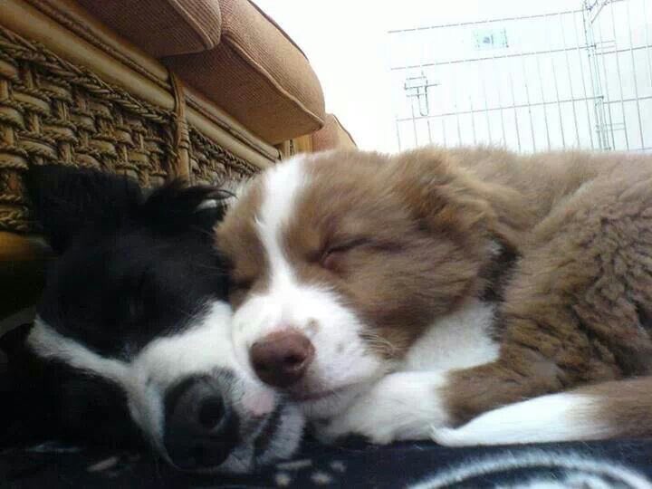 nerdyverz's tweet photo. sleepy baby https://t.co/Rx7Or4syet