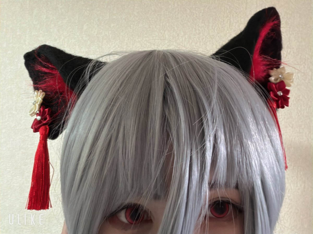 alice___1111's tweet photo. 友人のショップさん@eartail で以前作成頂いていた和チャイナ風獣耳でも先日写真撮りました✨
創作和チャイナ獣耳また今度ちゃんと撮りたいな🥺
獣耳のかわよさ広まって！笑 https://t.co/W1nliggec8