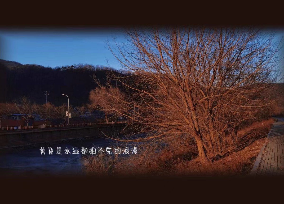 soy990417's tweet photo. [捕劫という言葉を見かけて、昔読んだ物語の場面が蘇る～ 挛った手で必死に逃げたあのシーン、忘れられないな]， https://t.co/r5ks5BpR8N