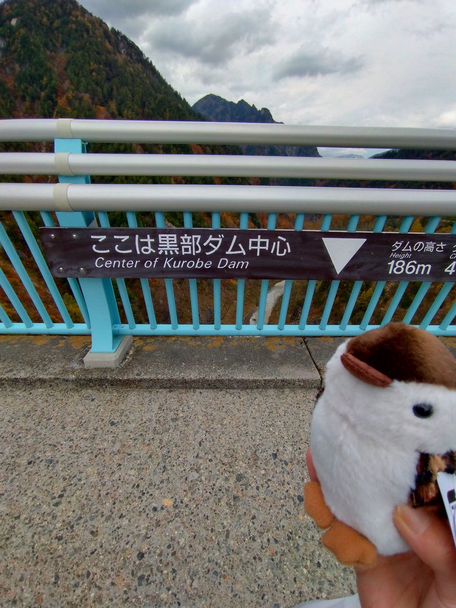 sea_aquaaa's tweet photo. 初黒部渓谷！😊
あまりにも可愛くて買ってしまった雷鳥丸と一緒に🐦‍⬛ https://t.co/vmG11WounJ