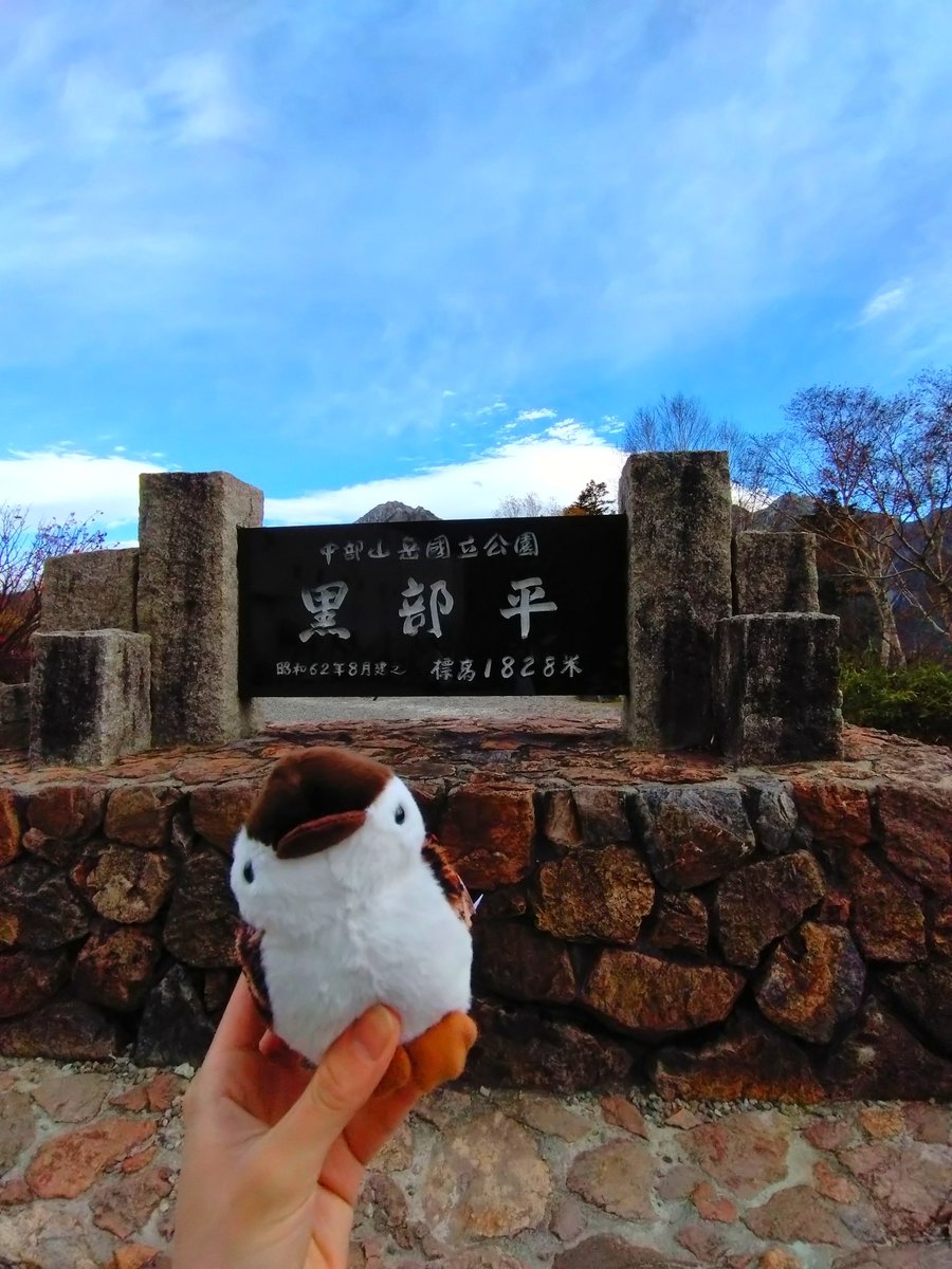 sea_aquaaa's tweet photo. 初黒部渓谷！😊
あまりにも可愛くて買ってしまった雷鳥丸と一緒に🐦‍⬛ https://t.co/vmG11WounJ