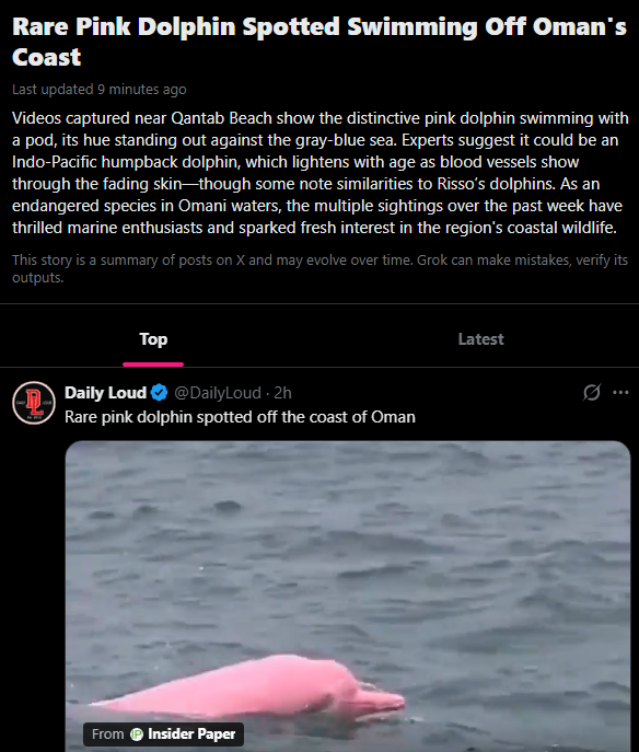Zeeko__Dev's tweet photo. A SUPER RARE PINK DOLPHIN IS CURRENTLY GOING VIRAL AF ALL OVER SOCIALS THIS MORNING!!

There was a rare Pink Dolphin spotted swimming off Oman’s Coast!

A new page is trending just minutes ago

https://t.co/gZae1swgPl

Also going super viral on Instagram 9m views already this morning!!!

https://t.co/IyUkhVUVne

The Pink Dolphin