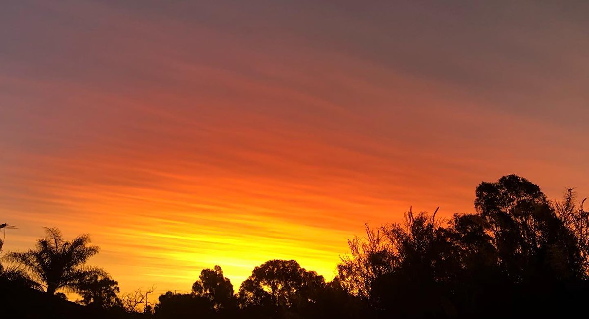 dgarDel429756's tweet photo. Another beautiful Perth sunset, made even more striking by volcanic ash. https://t.co/3yLp4Q10Lh