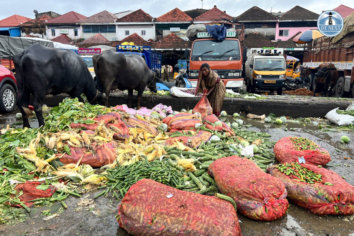 dt_next's tweet photo. Traders at the #Koyambedu wholesale market have expressed deep concern over a severe slump in sales, as nearly 2,000 tonnes of vegetables have rotted and been dumped as waste. 

https://t.co/7AerwUFGp8

📸 @_Hemanathan_ 

#DTNext #TamilNadu #Chennai #Rain #Vegetables https://t.co/3cvXLxYGaW