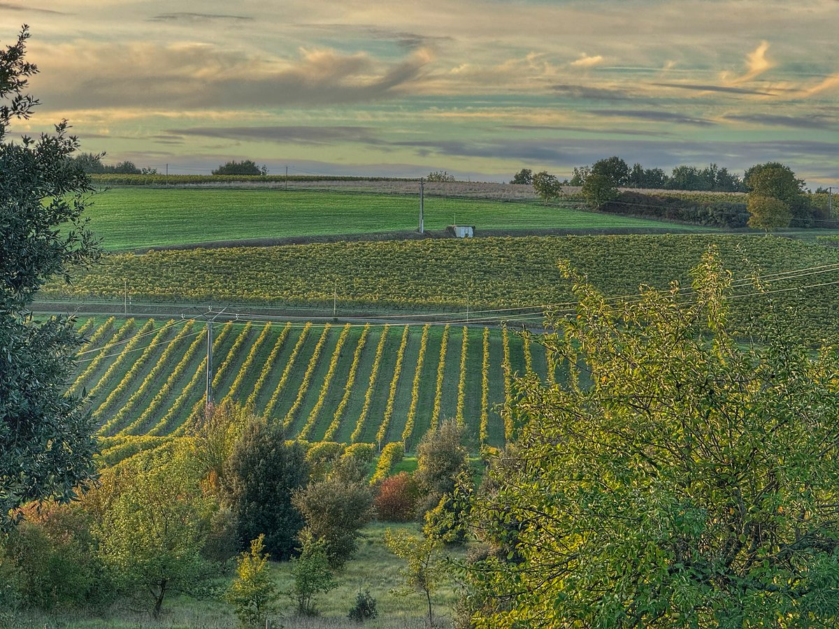 lifefrance's tweet photo. Daily #photooftheday from #France - from Cognac where the vineyards are turning into a mosaic of autumn colours...
#thegoodlifefrance https://t.co/P87zfgY4uM