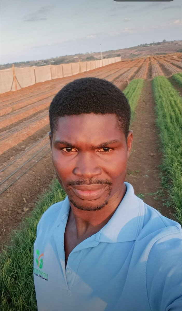 DefarmerAlex's tweet photo. More Youth in Farming means more Food in the future https://t.co/OSkpjx8XPs