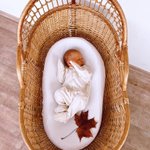 Photo by Парда 🦄 (@parrrrda)