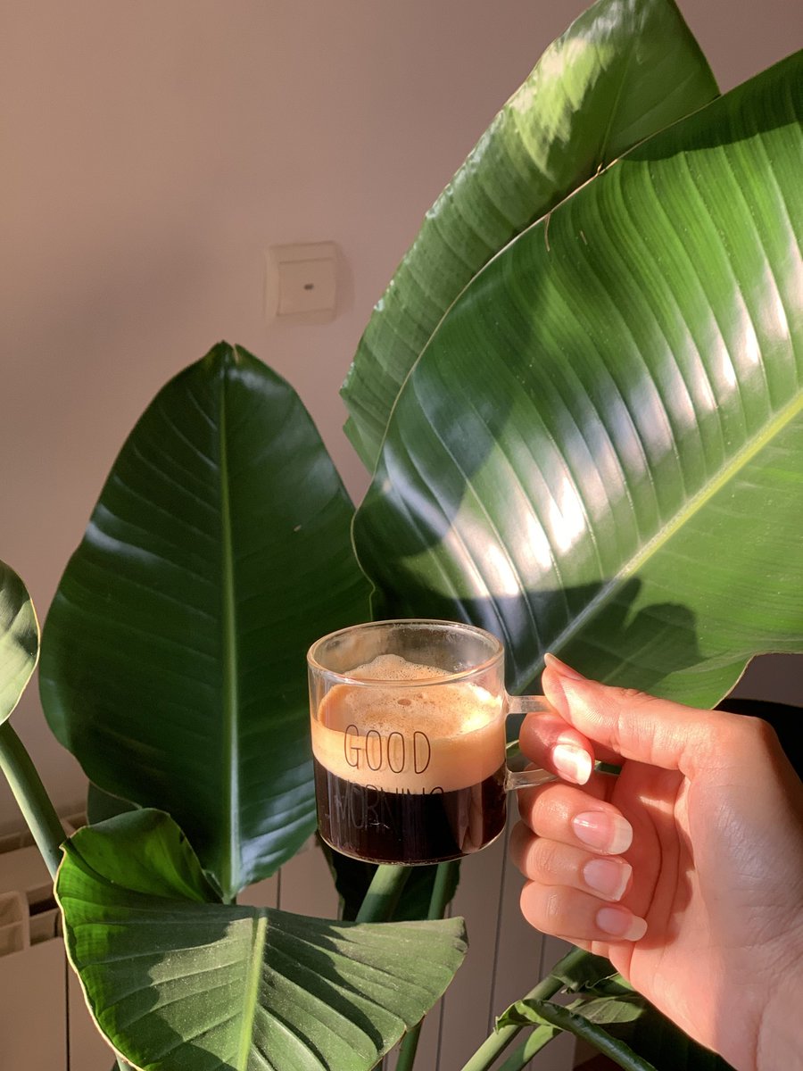Lili6670li's tweet photo. Every morning,you choose who you’ll be today.take that first sip,and go after what you’ve been putting off.start now.
#Motivation #NewDay #DoItNow https://t.co/xMDLVe3tep