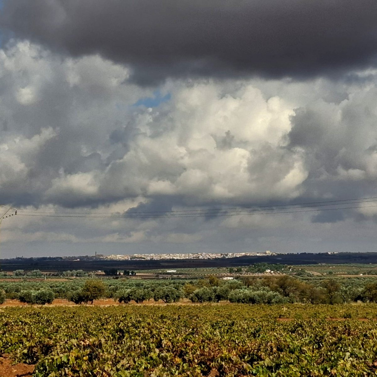 SanCarlosValle's tweet photo. Esa tierra roja recién mojada y arada ☺️. 
Nuestros hermosos cielos.
Los colores del otoño en #SanCarlos, con sus ocres de las pámpanas de los viñedos, sus olivos, serenos caminos y, a lo lejos, la villa vecina de La Solana.
La viajera 📷 @TesaCampos92 se lució al retratarlos 🤳🏽 https://t.co/b99hvV1byF