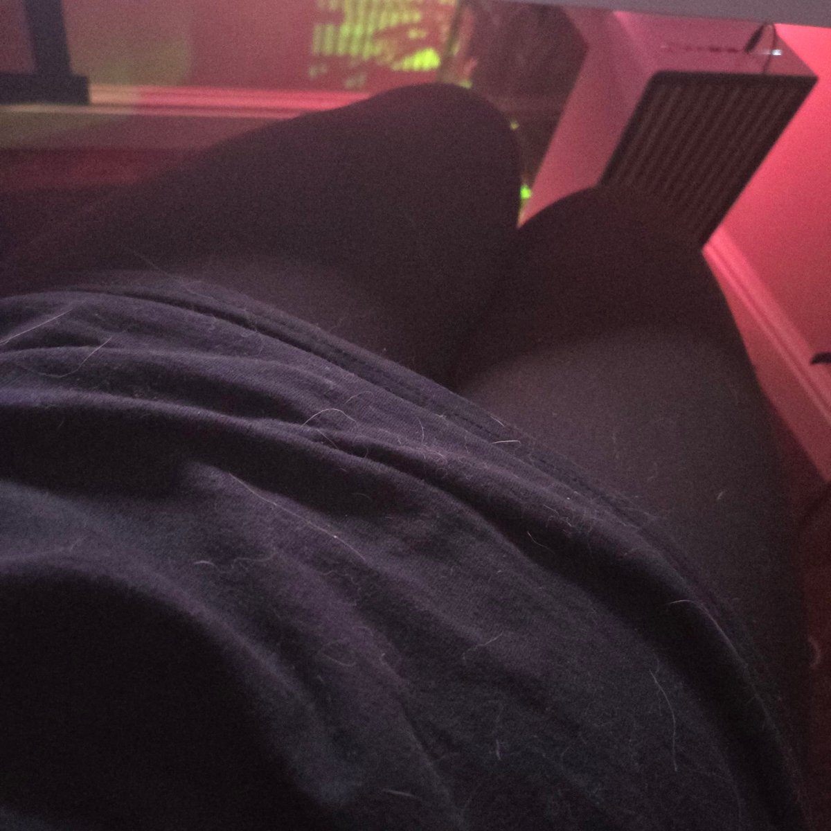 alicepetalite's tweet photo. posted it on main a while ago but ill post it again here, sorry about the hair my pets love my lap https://t.co/7LsKoMBgpa