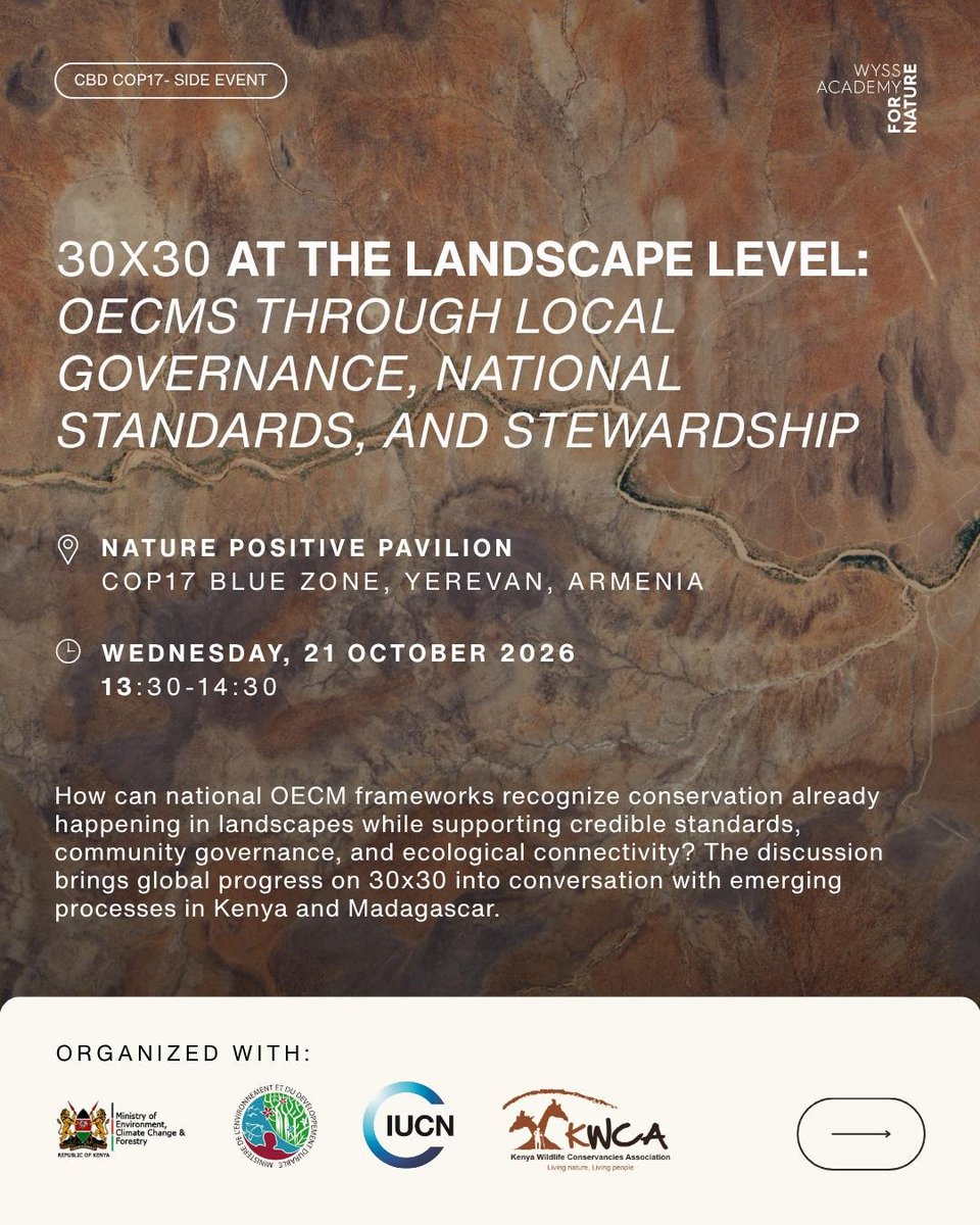 EnviClimateC_Ke's tweet photo. @EnviClimateC_Ke will be represented by Ms. Maiyani Saino at @COP17_Arm2026 side event exploring how OECMs &amp; local governance can advance the global 30x30 biodiversity target, highlighting emerging initiatives in Kenya &amp; Madagascar.

📅 21 October | 🕜 13:30–14:30 GMT https://t.co/nXtCb9mYny