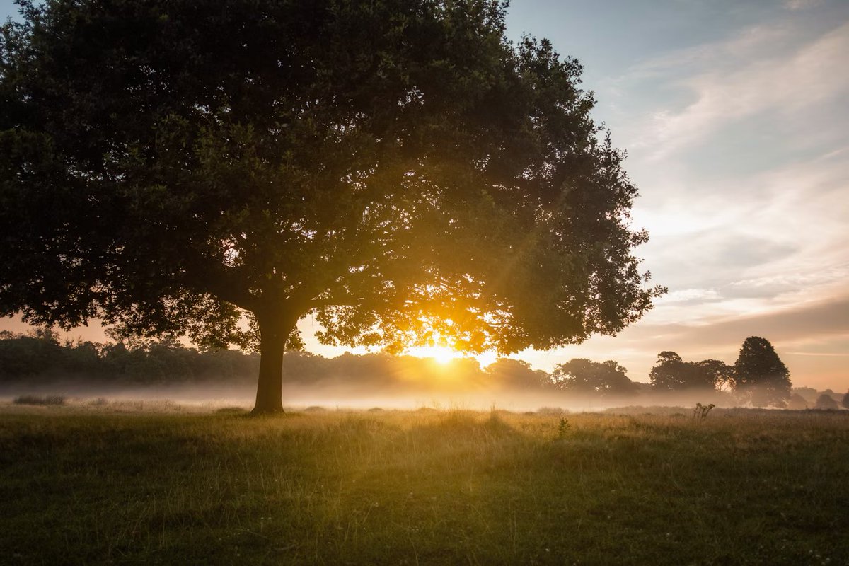 RetirementFN's tweet photo. Dawn in Retirement

First light arrives quietly.

The kettle boils. The coffee is poured. Outside, the world is beginning to stir. But you don’t have to rush anywhere.

Just you, a warm cup in your hands, and a whole day stretching out in front of……
 https://t.co/2txa1WnKv1 https://t.co/Dgyt0ubzLX